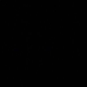 Meet your Posher, Simone